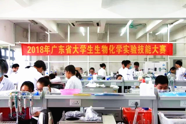 欧乐影院
学生荣获广东省生物化学实验技能大赛二等奖02.jpg